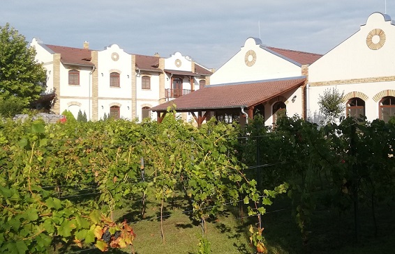Koch winery and cafe